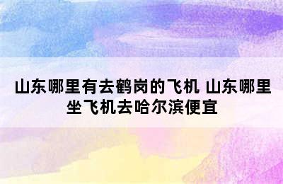 山东哪里有去鹤岗的飞机 山东哪里坐飞机去哈尔滨便宜